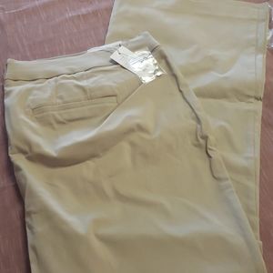 Dress pants